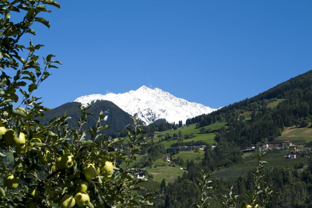 Pension Thalerhof Rifiano Buitenkant foto